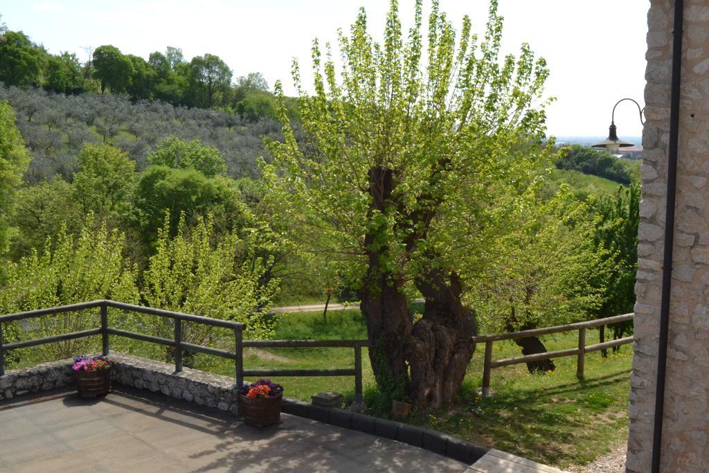Casale La Rocchetta Bed & Breakfast Lonigo Exterior photo